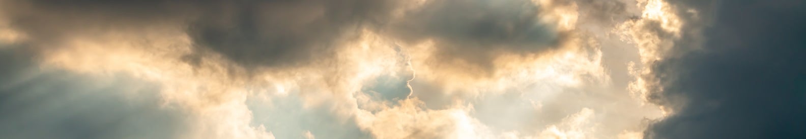 bracing for the storm header